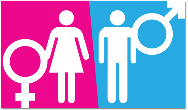 name-verification-gender-determination