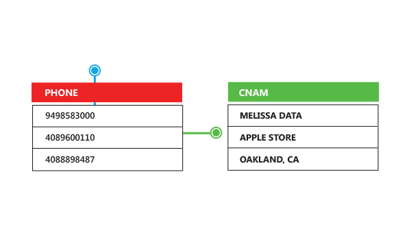 phone-verification-caller-id-data-1